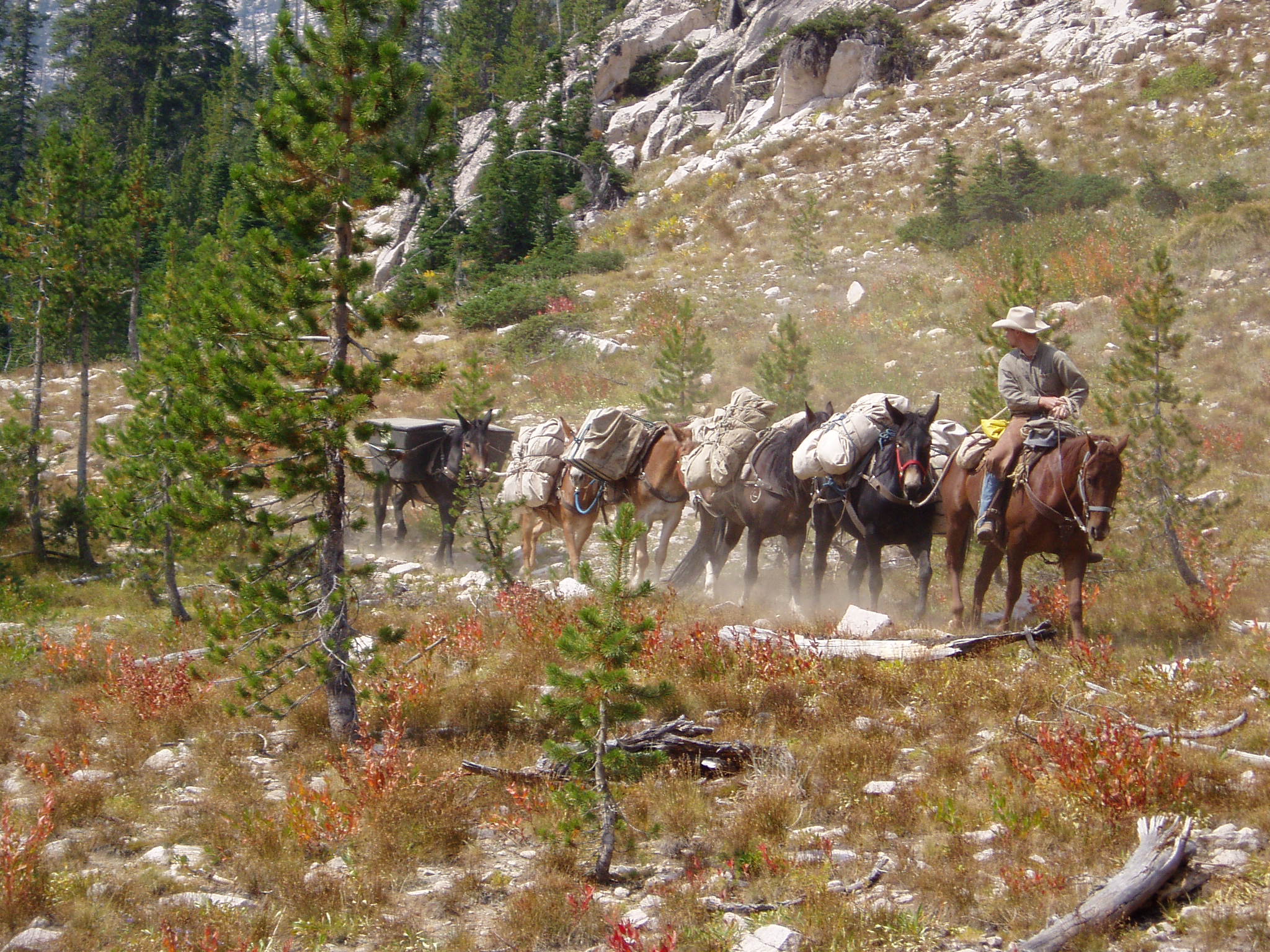 Jobs at Mystic Saddle Ranch - MysticSaddleRanch