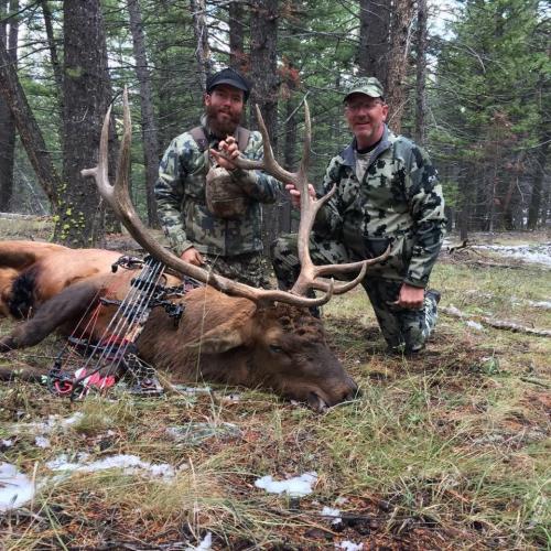 Fully Guided Archery Elk Hunts