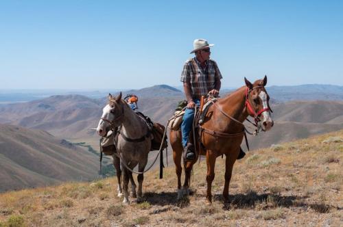 Pack Horse, guided trail rides