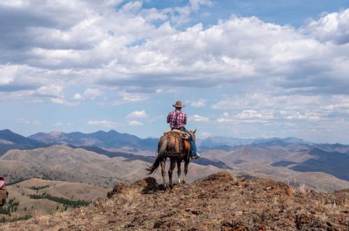 explore Idaho on the back of a gentle mountain horse